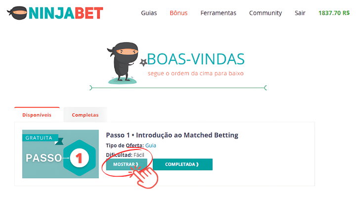 teste-gratis-ninjabet-matched-betting-ganhe-dinheiro-betfair-introducao